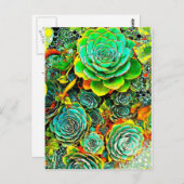 Sukkultureller Garten Pop Kunst, Dichtung und Musi Postkarte (Vorne/Hinten)