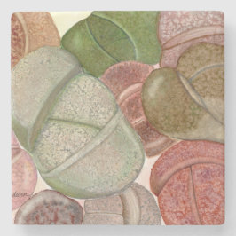 Sukkultureller Untersetzer aus Stein (Kalkstein)