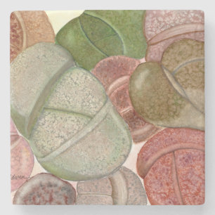 Sukkultureller Untersetzer aus Stein (Kalkstein)