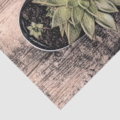 Sukkulturelles rustikales Vintages Grünes Botanisc Seidenpapier (Ausschnitt)