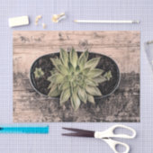 Sukkulturelles rustikales Vintages Grünes Botanisc Seidenpapier (Handwerk)