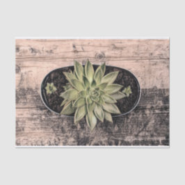 Sukkulturelles rustikales Vintages Grünes Botanisc Seidenpapier