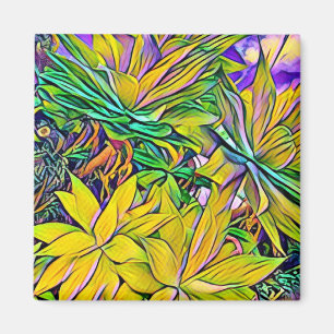 Sukkulturen der tropischen Insel Magnet