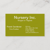 Sukkulturen - Echeveria-Pflanze Visitenkarte (Rückseite)