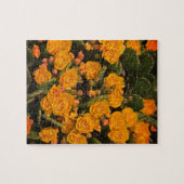 Sukkulturen Gartengarten Blume Gelbe grüne Pflanze Puzzle (Horizontal)