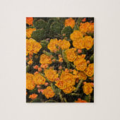 Sukkulturen Gartengarten Blume Gelbe grüne Pflanze Puzzle (Vertikal)