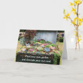 Sukkulturen in der Schatztruhe Karte (Gelbe Blume)