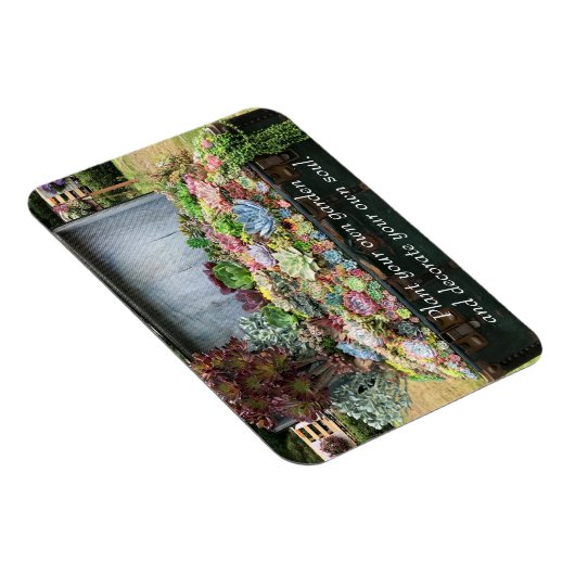 Sukkulturen in der Schatztruhe Magnet (Rechte Seite)