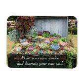 Sukkulturen in der Schatztruhe Magnet (Horizontal)