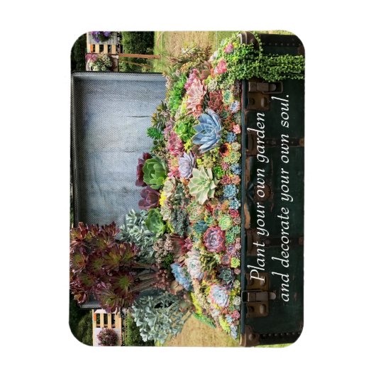 Sukkulturen in der Schatztruhe Magnet (Vertikal)