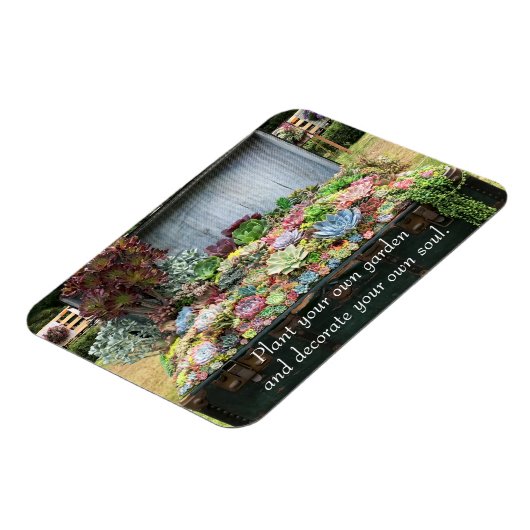 Sukkulturen in der Schatztruhe Magnet (Linke Seite)