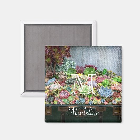 Sukkulturen in der Schatztruhe Magnet (Vorderseite/Rückseite)