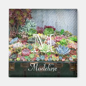 Sukkulturen in der Schatztruhe Magnet (Vorne)