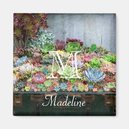 Sukkulturen in der Schatztruhe Magnet