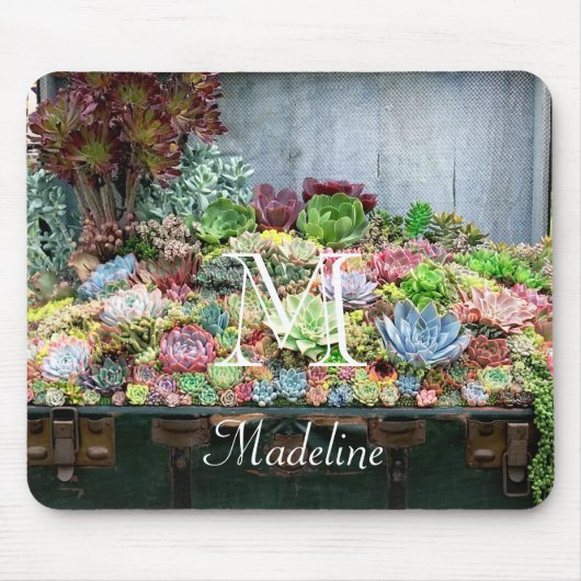 Sukkulturen in der Schatztruhe Mousepad (Vorne)