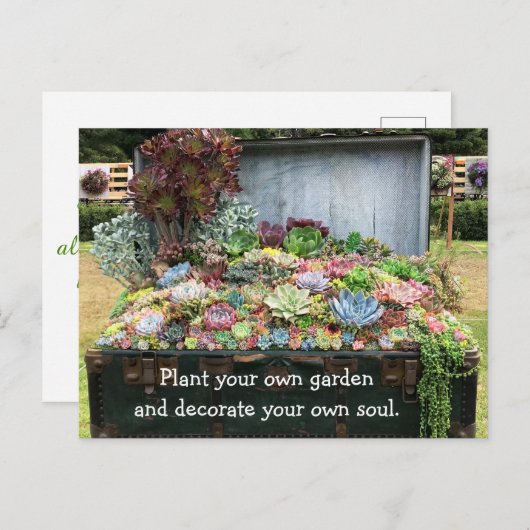 Sukkulturen in der Schatztruhe Postkarte (Vorne/Hinten)