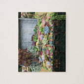 Sukkulturen in der Schatztruhe Puzzle (Vertikal)