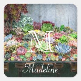 Sukkulturen in der Schatztruhe Quadratischer Aufkleber