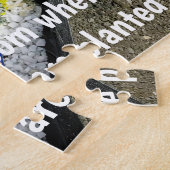 Sukkulturen in Planter Puzzle (Seite)