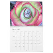 Sukkulturen mit Fibonacci-Spiralen Kalender (Mär 2026)