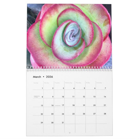 Sukkulturen mit Fibonacci-Spiralen Kalender (Mär 2026)
