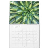 Sukkulturen mit Fibonacci-Spiralen Kalender (Feb 2026)