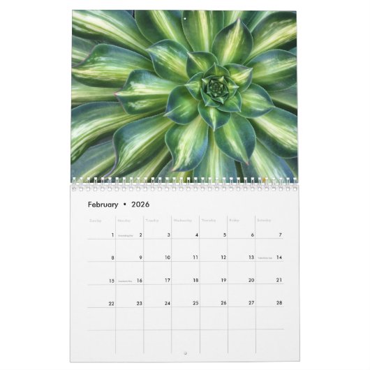 Sukkulturen mit Fibonacci-Spiralen Kalender (Feb 2026)
