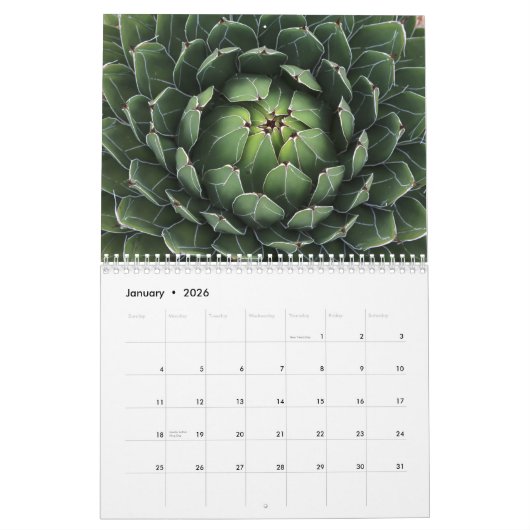 Sukkulturen mit Fibonacci-Spiralen Kalender (Jan 2026)