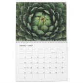 Sukkulturen mit Fibonacci-Spiralen Kalender (Jan 2027)