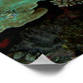 Sulawesi | Green Sea Turtle Poster (Ecke)