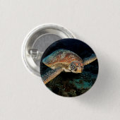 Sulawesi | Meeresschildkröte Button (Vorne & Hinten)