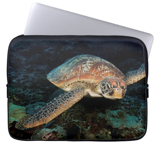 Sulawesi | Meeresschildkröte Laptopschutzhülle (Vorderseite)