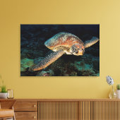 Sulawesi | Meeresschildkröte Leinwanddruck (Insitu (Wohnzimmer))