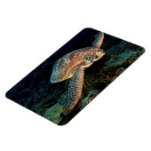 Sulawesi| Meeresschildkröte Magnet (Linke Seite)