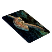 Sulawesi| Meeresschildkröte Magnet (Rechte Seite)