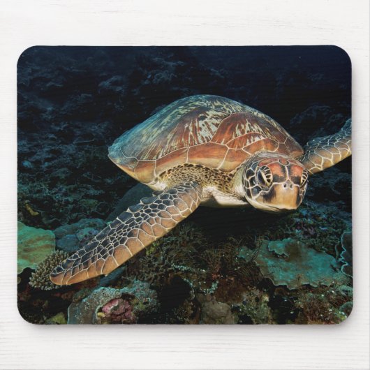 Sulawesi | Meeresschildkröte Mousepad (Vorne)