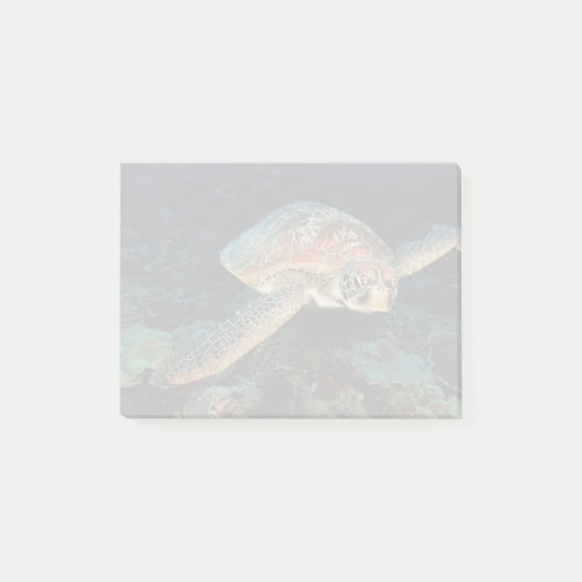 Sulawesi | Meeresschildkröte Post-it Klebezettel (Vorderseite)
