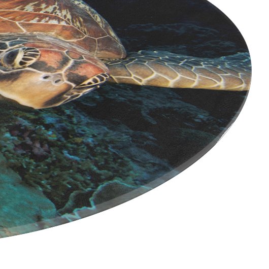 Sulawesi | Meeresschildkröte Schneidebrett (Ecke)