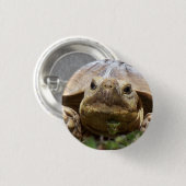 Sulcata Schildkröte Button (Vorne & Hinten)
