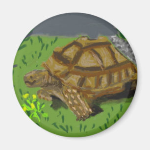 Sulcata Schildkröte Magnet