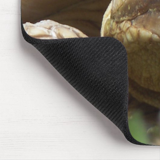 Sulcata Schildkröte Mousepad (Ecke)