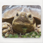 Sulcata Schildkröte Mousepad (Vorne)