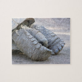 Sulcata Schildkröte Puzzle