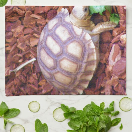 Sulcata SchildkröteHatchlings Geschirrtuch (Gefaltet)