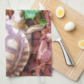 Sulcata SchildkröteHatchlings Geschirrtuch (Viertel Falte)