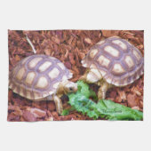 Sulcata SchildkröteHatchlings Geschirrtuch (Horizontal)