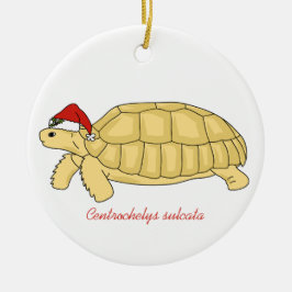 Sulcata Schildkröten-Weihnachtsverzierung Keramik Ornament