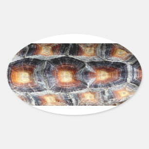Sulcata Schildpatt-Aufkleber Ovaler Aufkleber