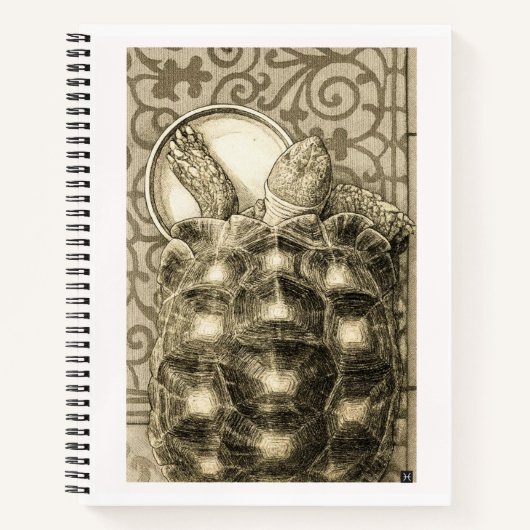 Sulcata Tortoise Art Nouveau Ink Sepia drawing Notizblock (Vorderseite)