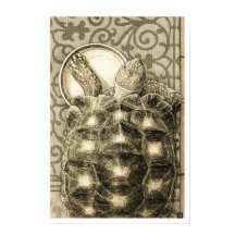 Sulcata Tortoise Art Nouveau Ink Sepia drawing
